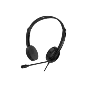RAPOO H101 WIRED STEREO HEADSET(1y)
